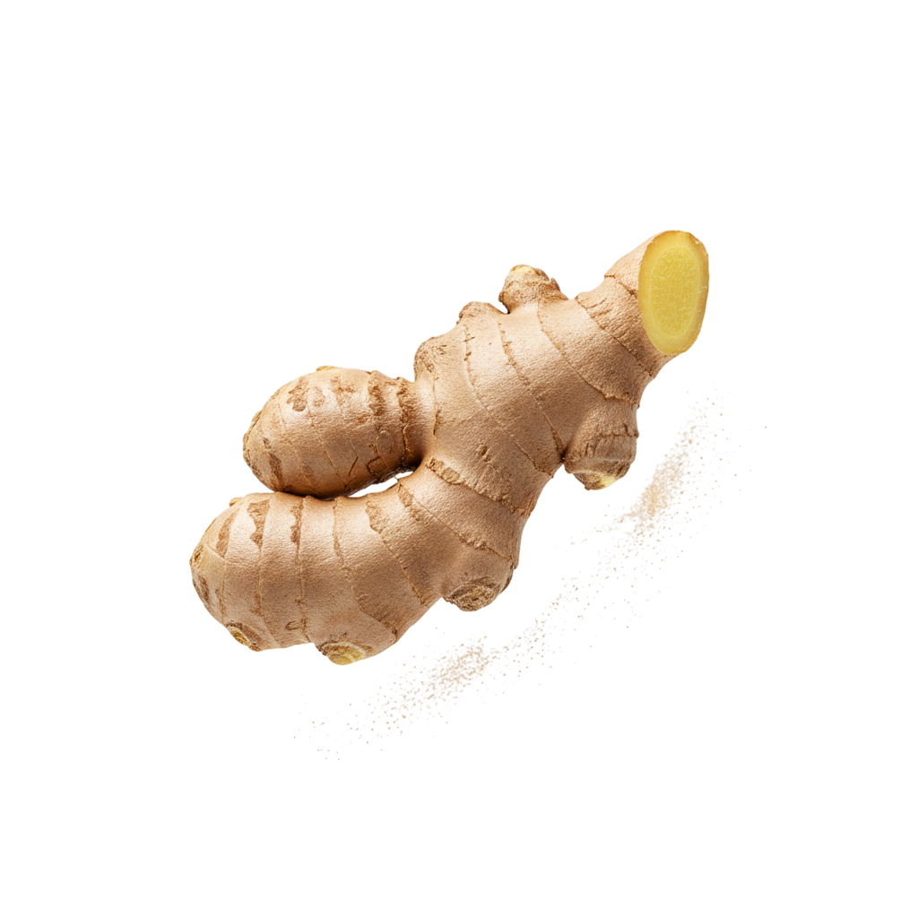 Pickle jar styled for hero section